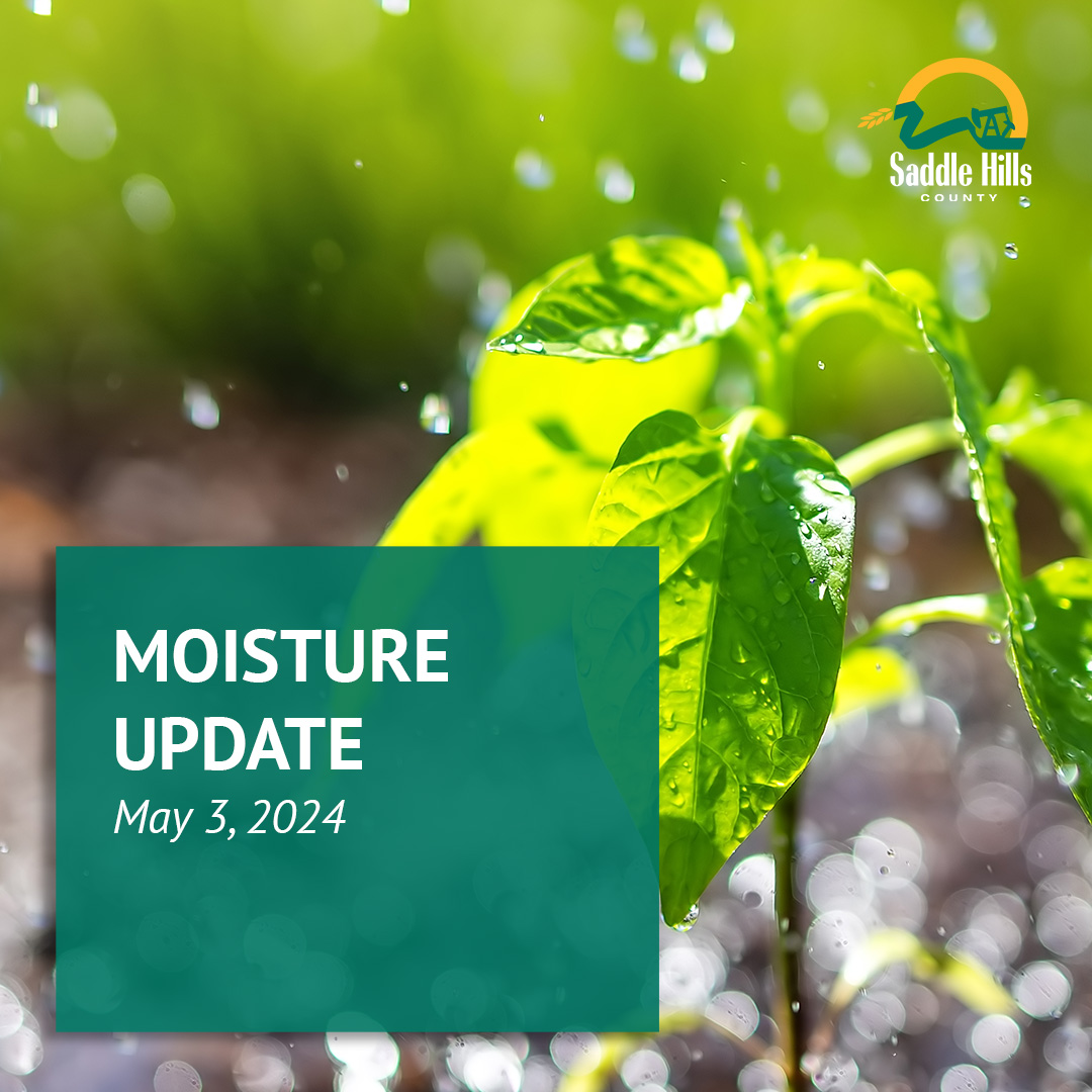 Image of Moisture Update - May 3, 2024