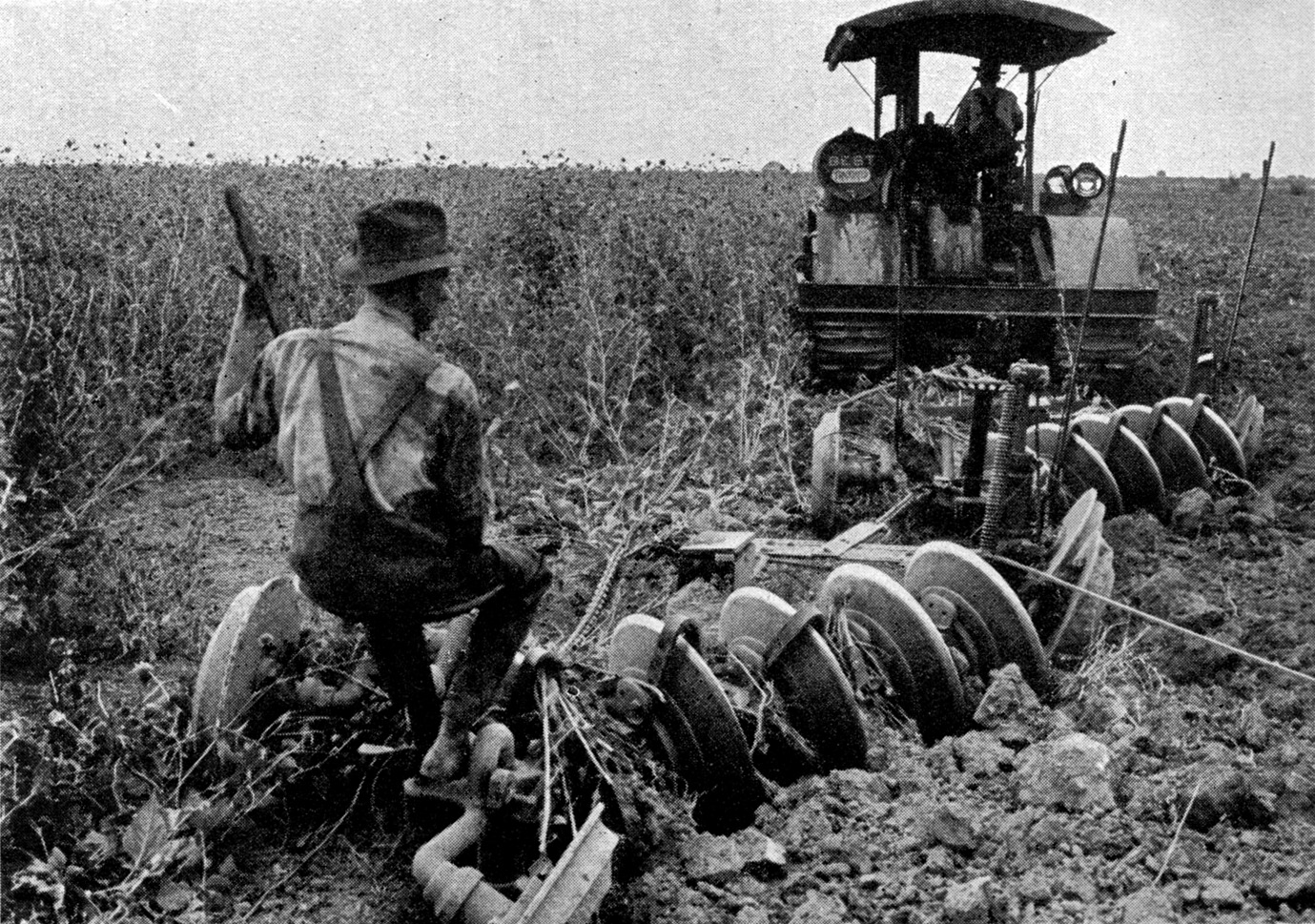 Image of early plowing from Wikipedia