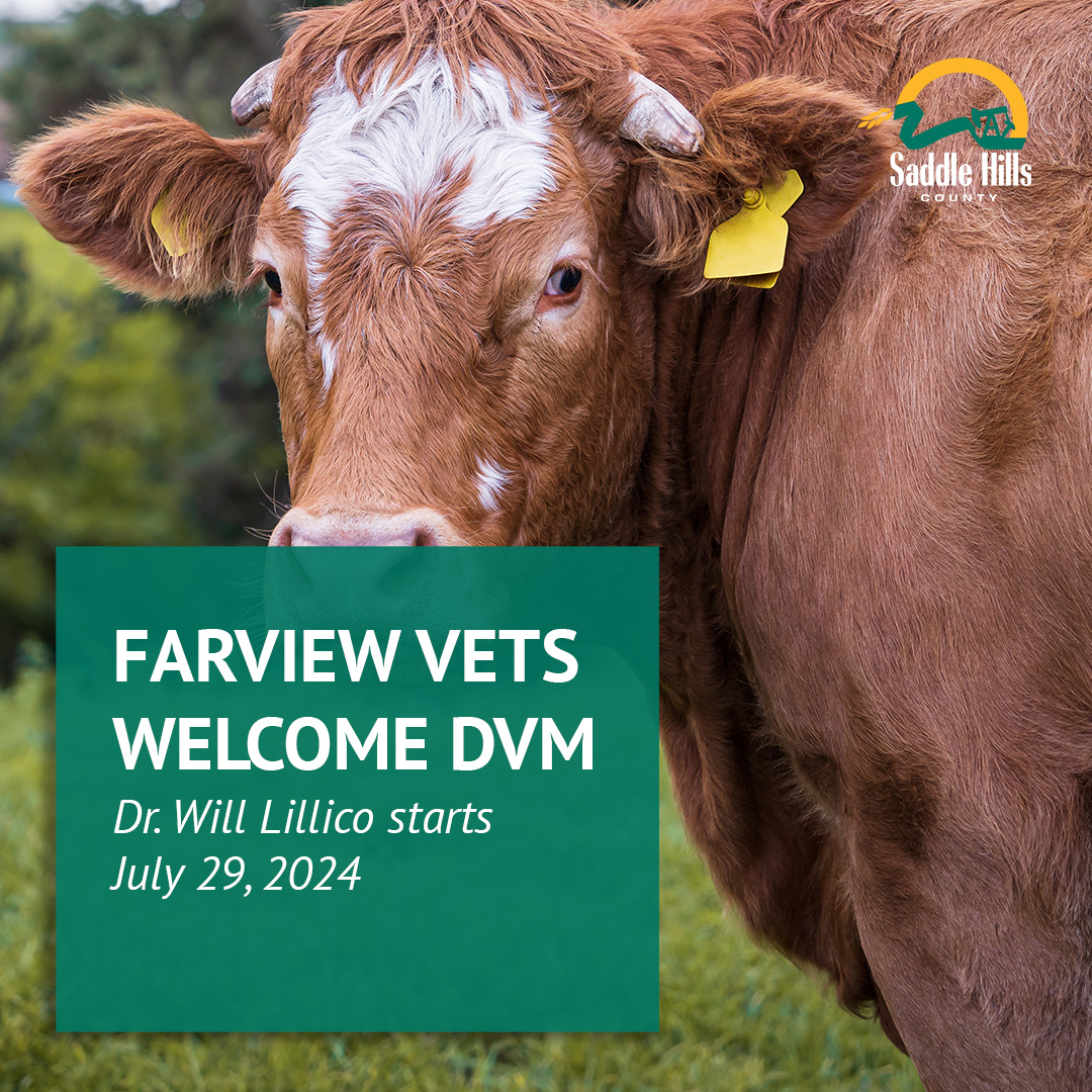 Image of Fairview Vet Clinic Welcome New DVM - Dr. Will Lillico
