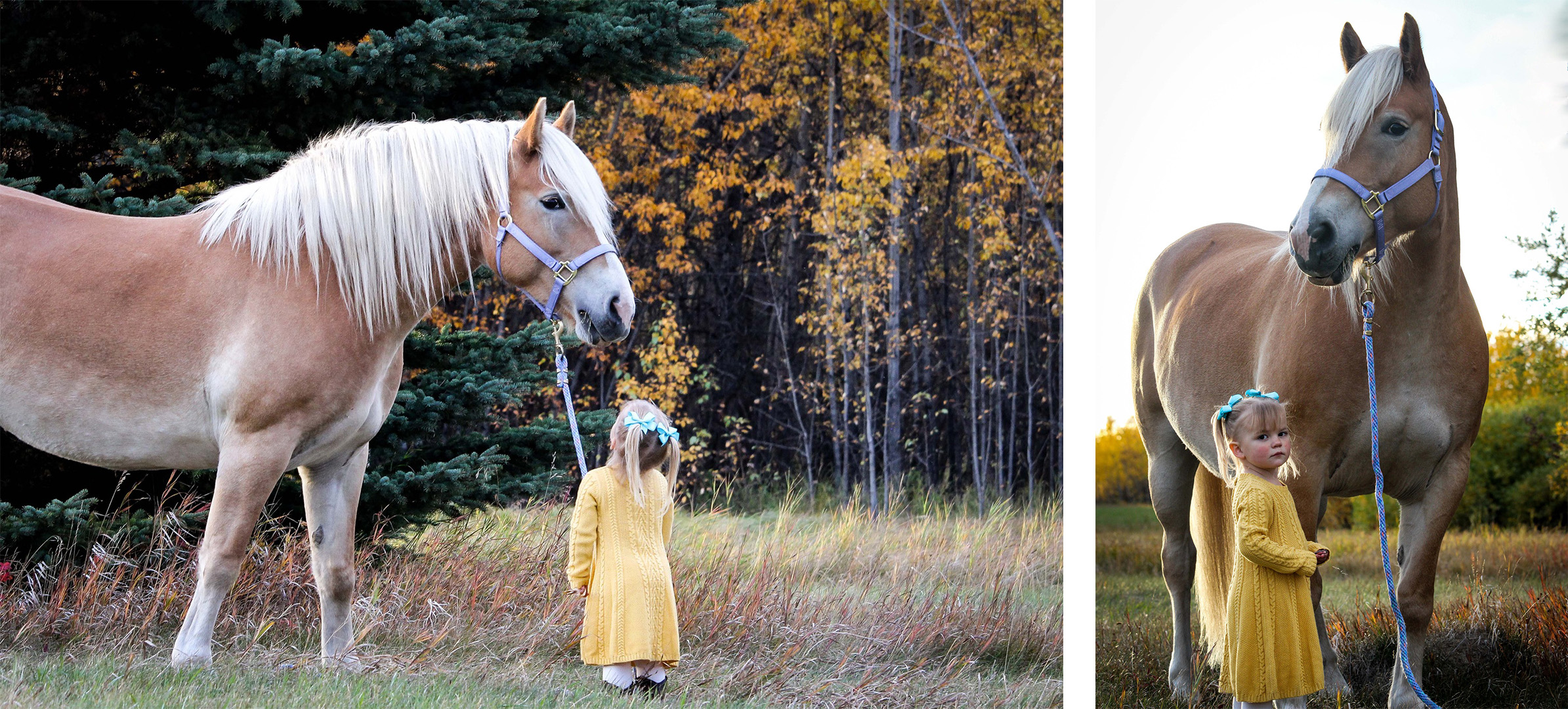 Images of girl and horse