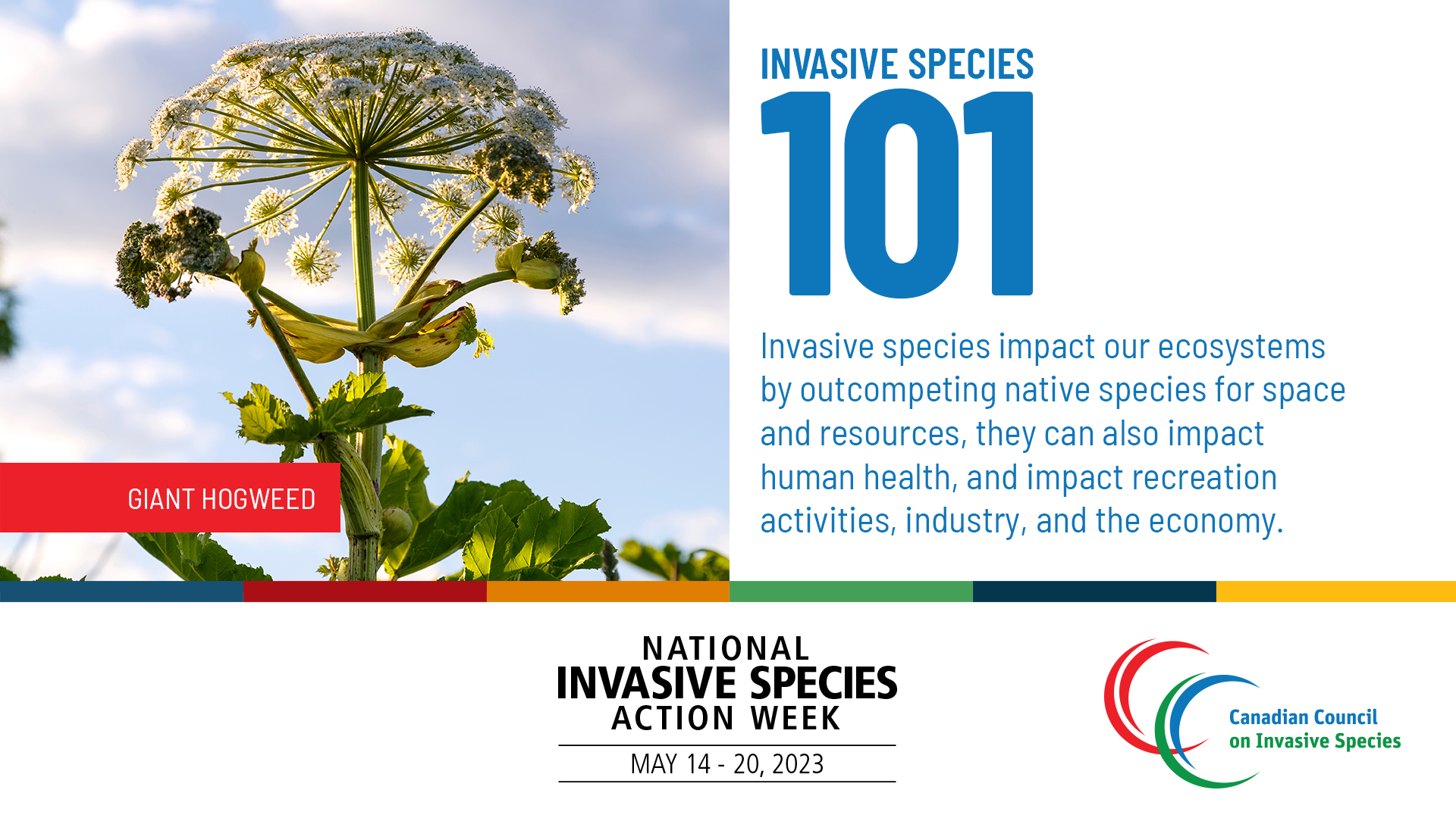 Infographic for Invasive Species