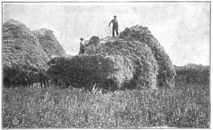 Image of a Saskatchewan wheat farm where the growing season was longer from Wikiwand