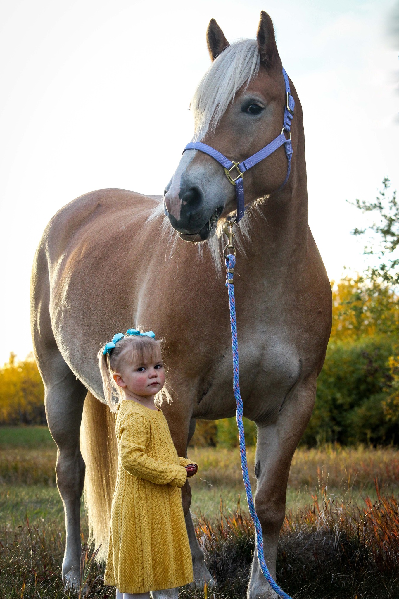 Image of girl and horse