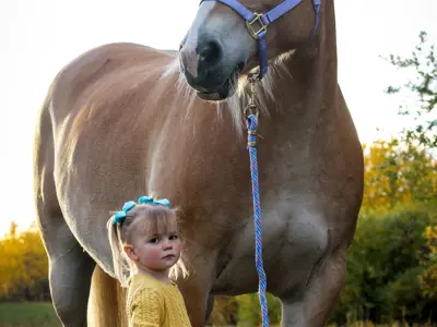 Image of Girl and Horse 