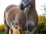 Image of Girl and Horse 