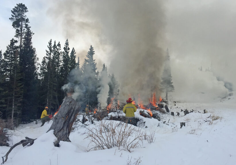 Image of Winter Burn Pile