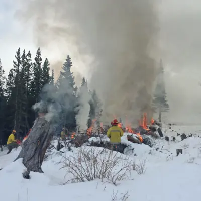 Image of Winter Burn Pile