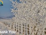 Image of frost and snow covered fence and landscape