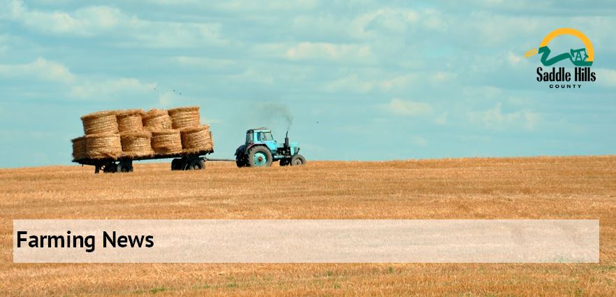 Image of grain farming