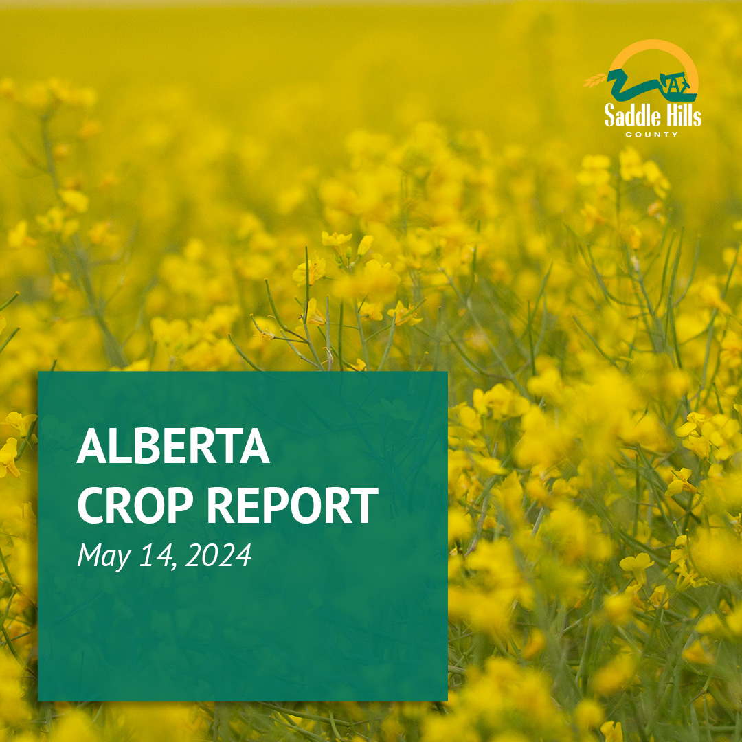 Image of Alberta Crop Report - May 14, 2024