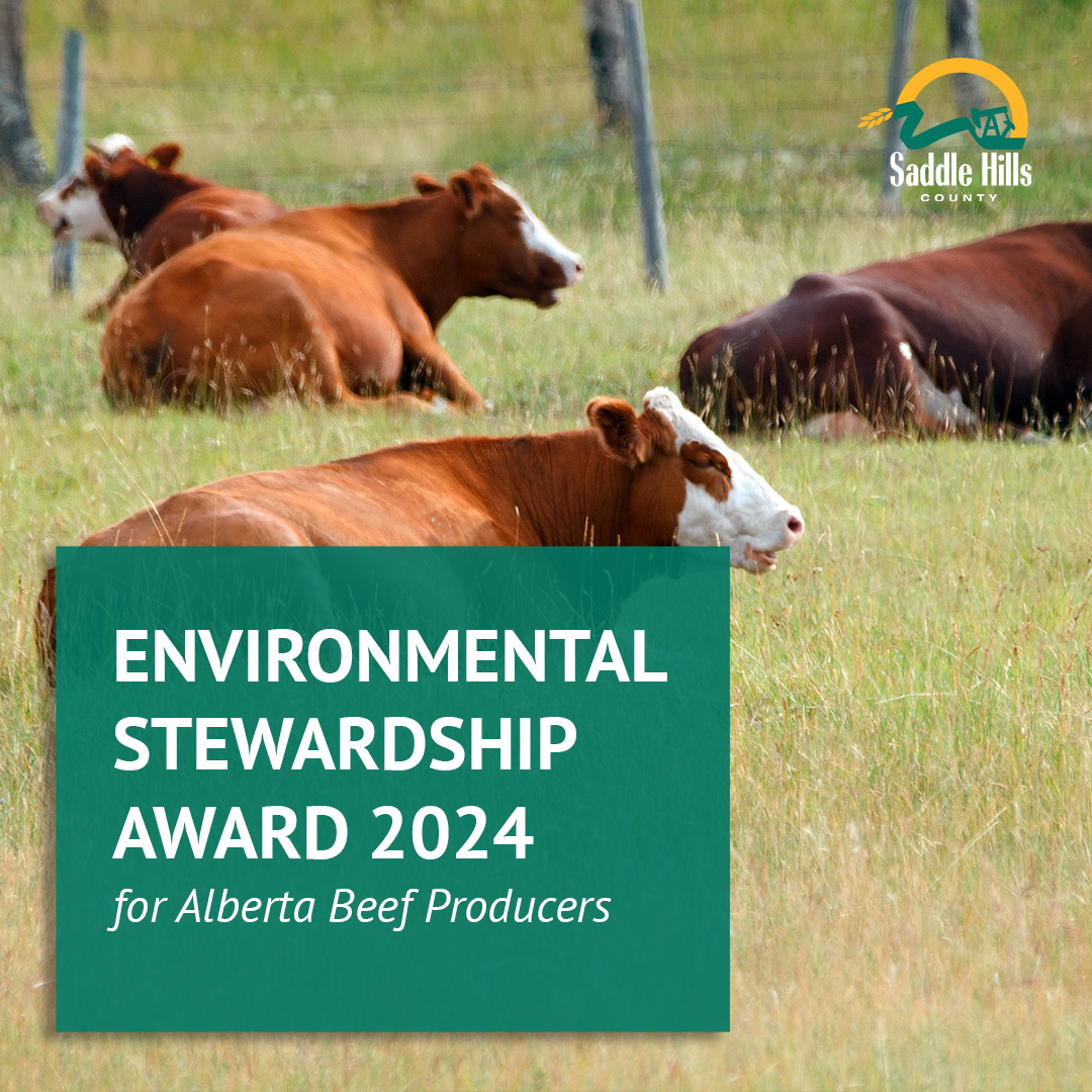 Image of Environmental Stewardship Award for Alberta Beef Producers