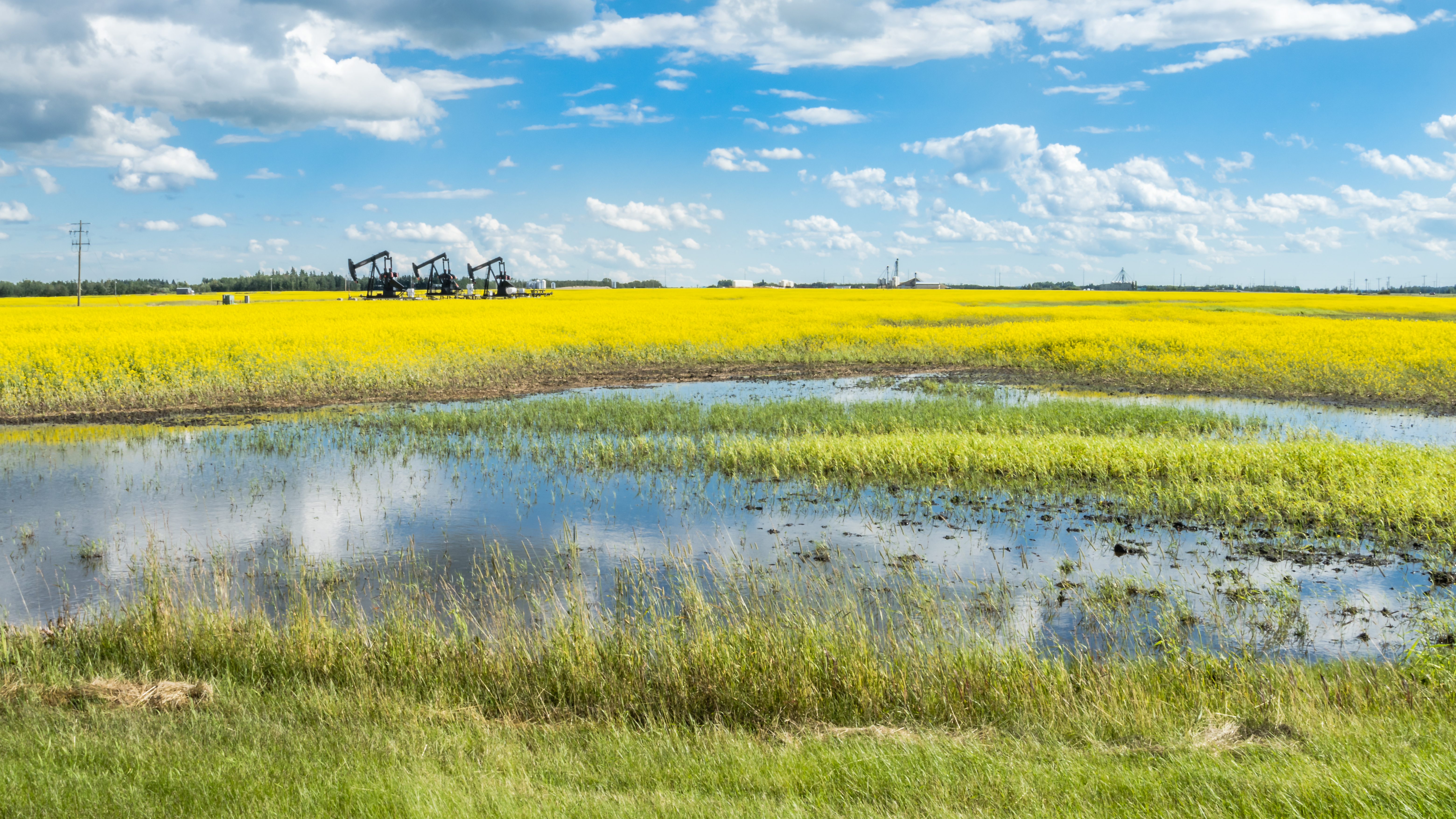 Image of Field with Flooding and Oil Rigs