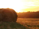 Image of Hay Bale at Sunrise