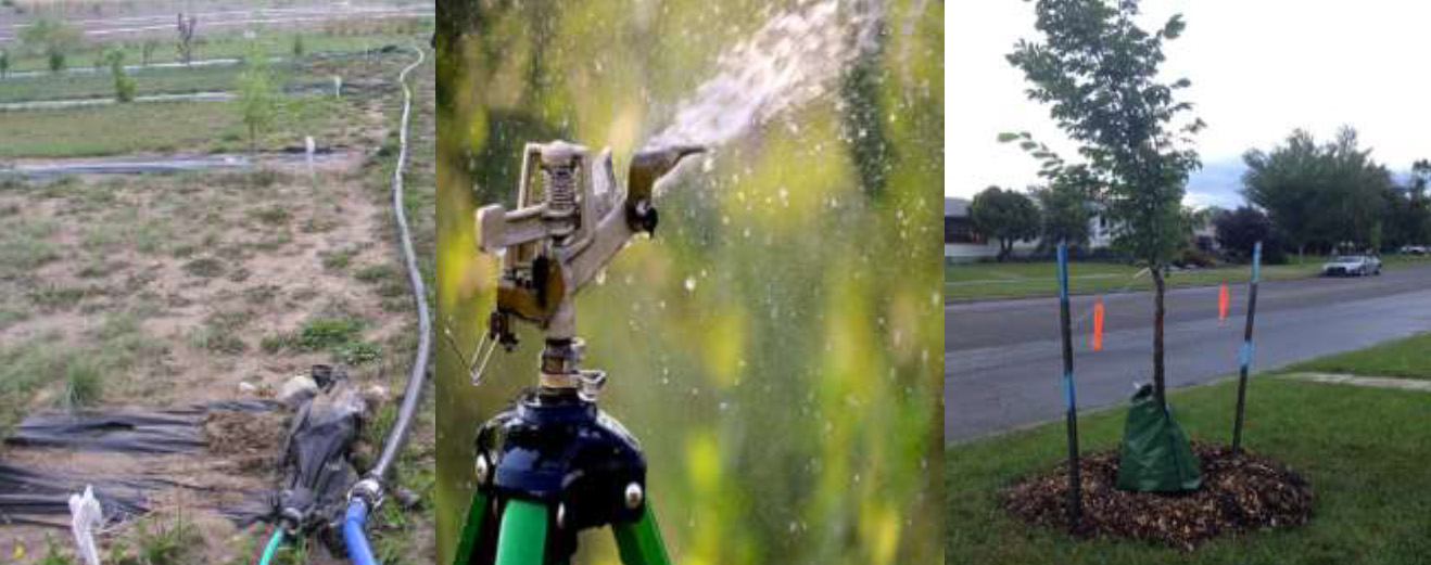 Image of watering systems