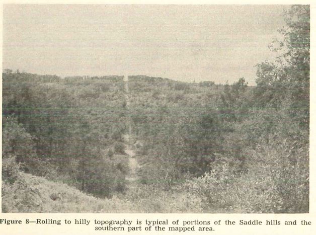 Rolling Hills of Saddle Hills County from U of A