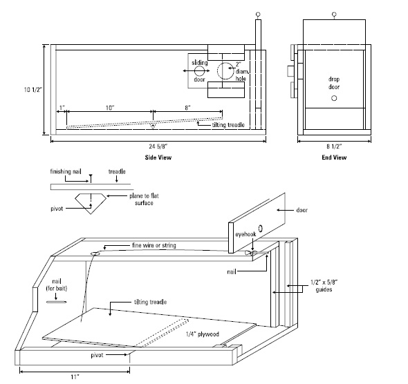 Image of Skunk Trap