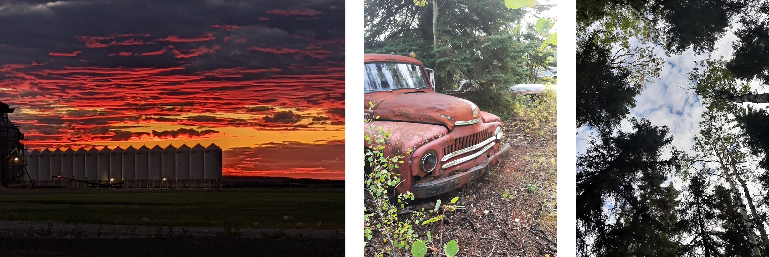 Image of trees, car, and grain bins