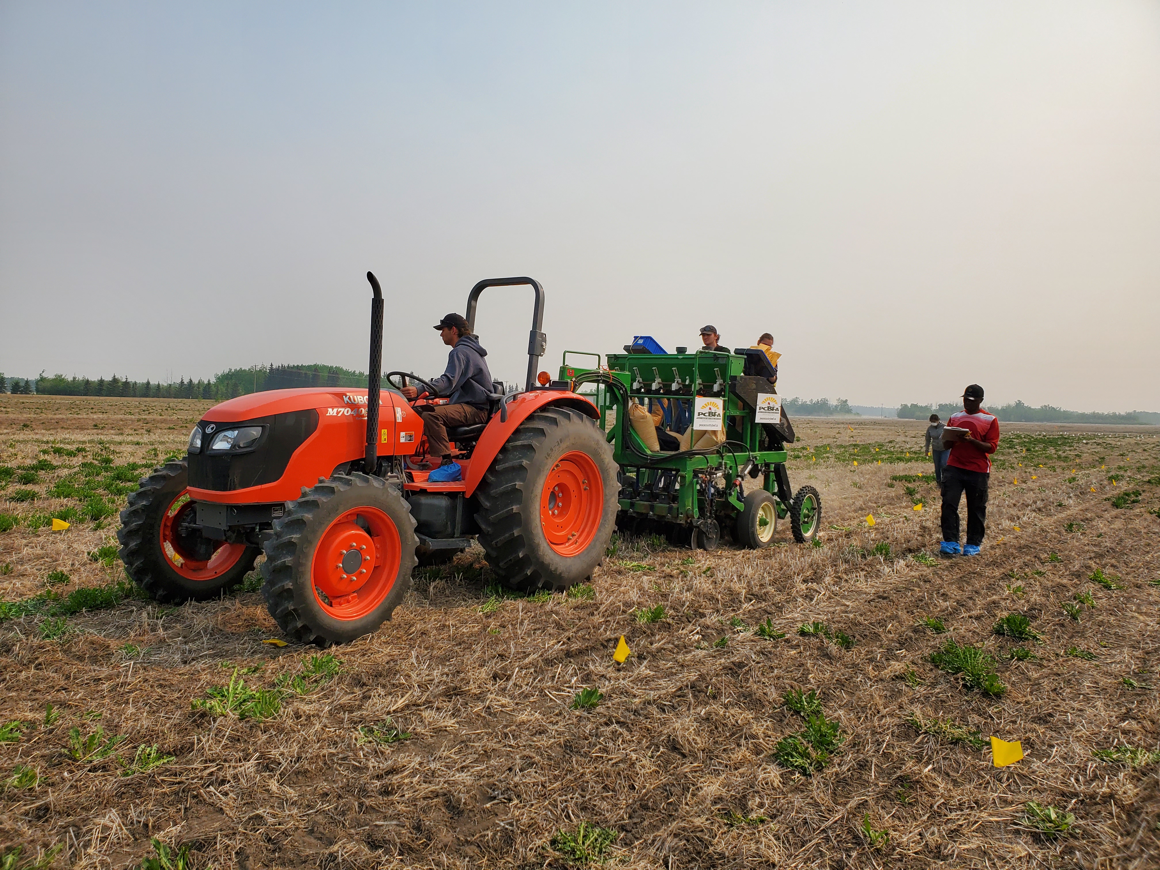 Image of Variety Seeding Trial