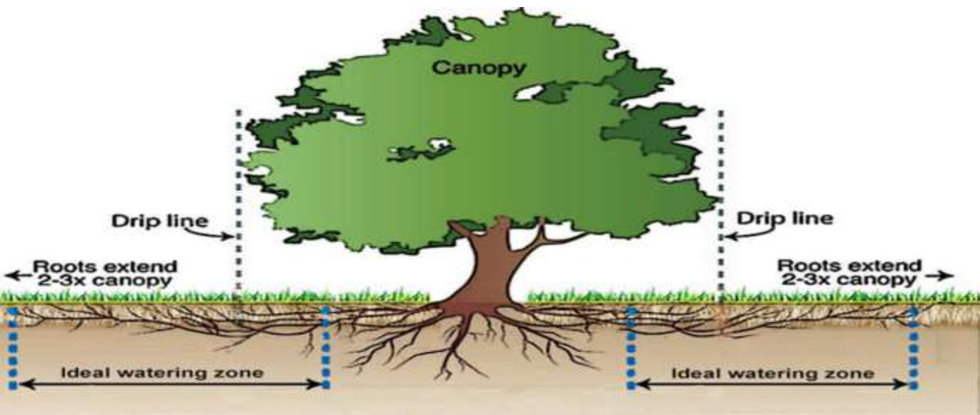 Image of Watering Zones