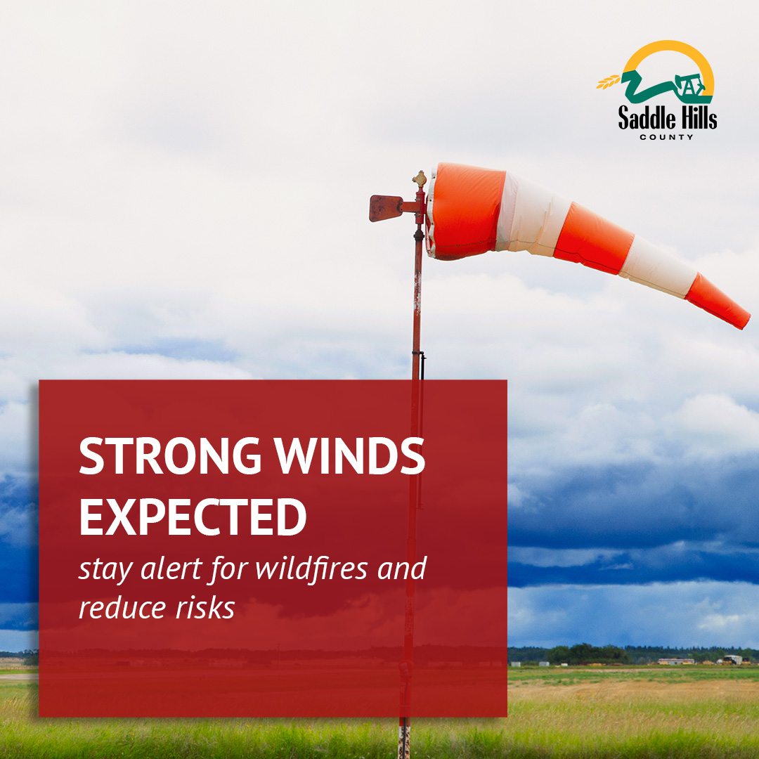 Image of Strong Winds Expected: Stay Alert for Wildfires and Reduce Risks