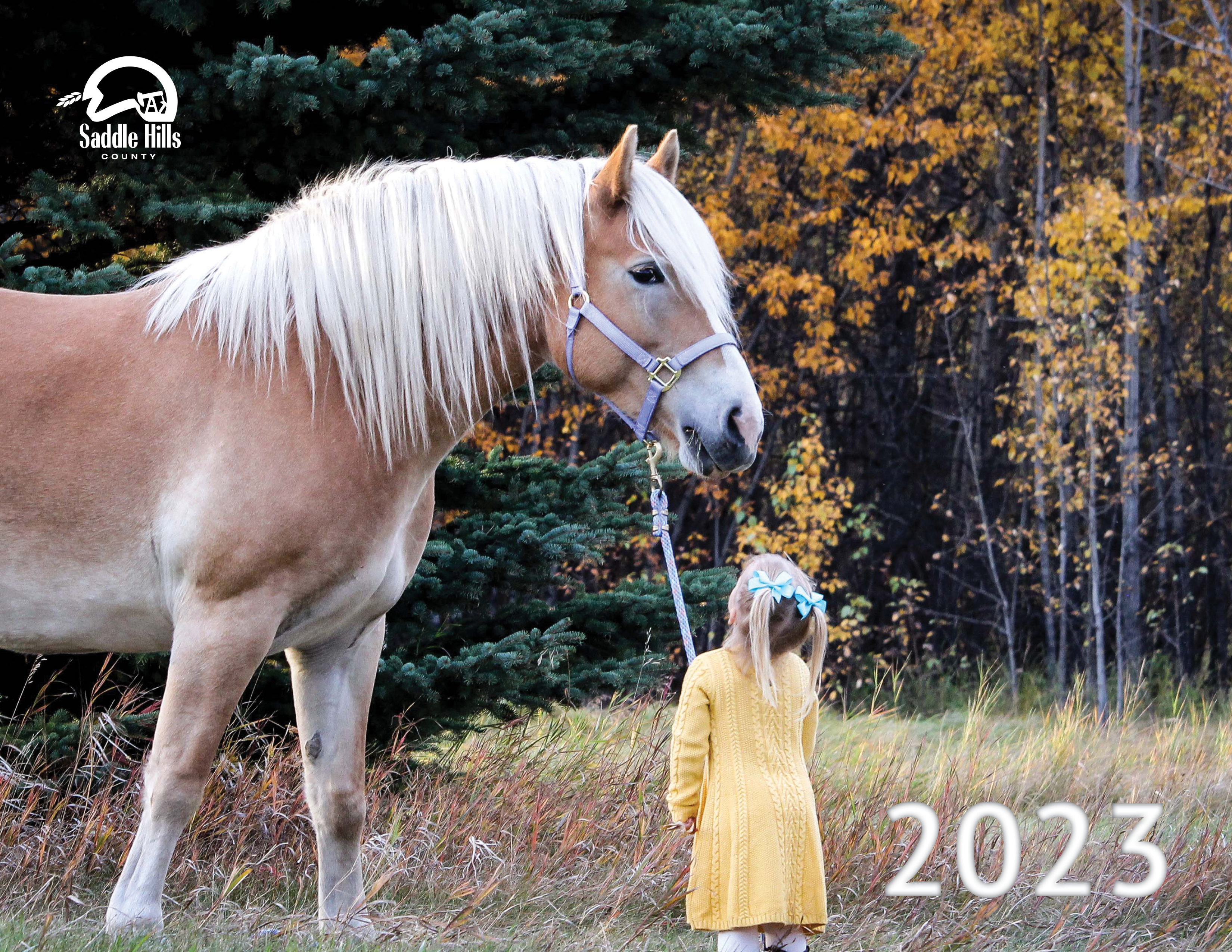 Image of Girl and Horse