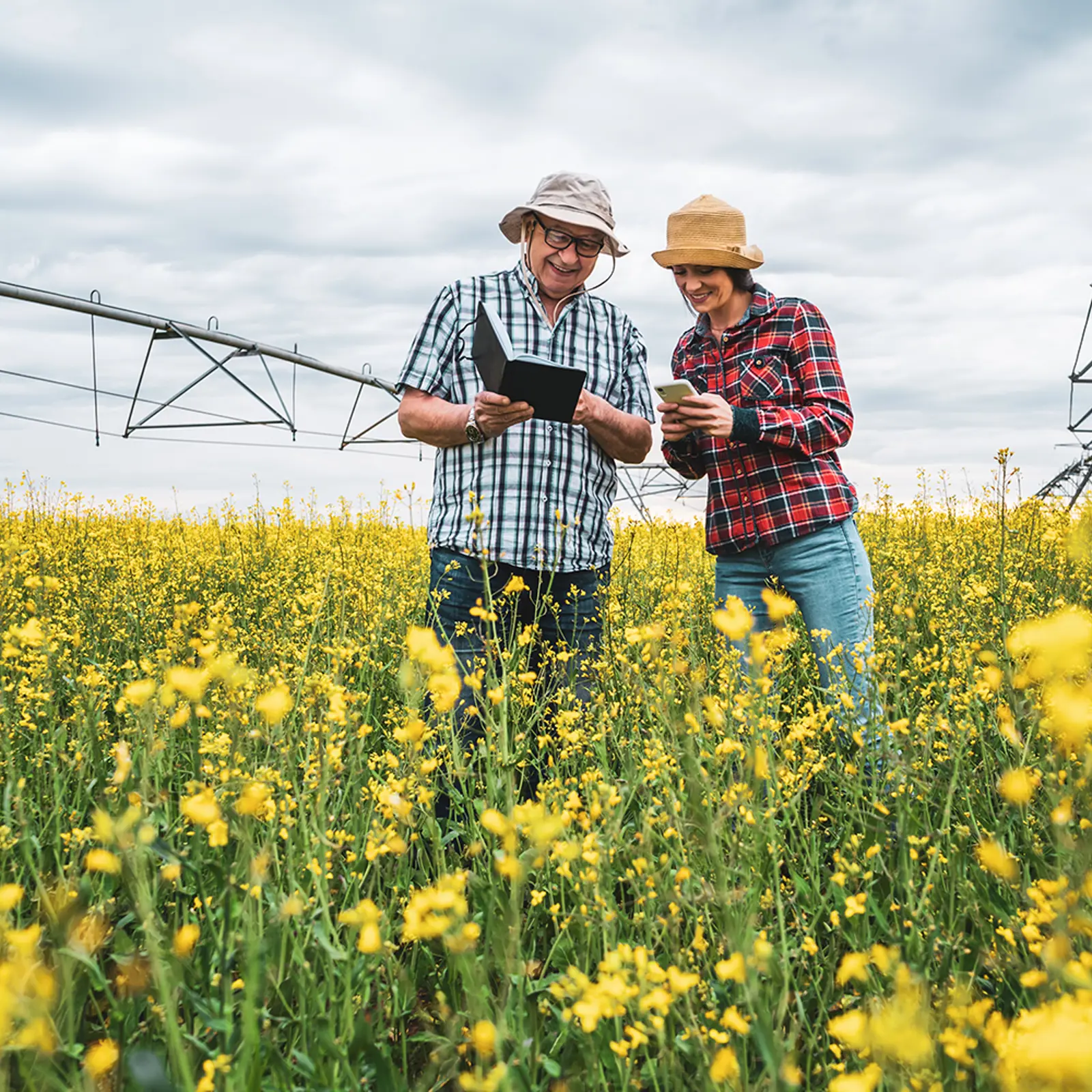 Tree Seedling Program | Saddle Hills County