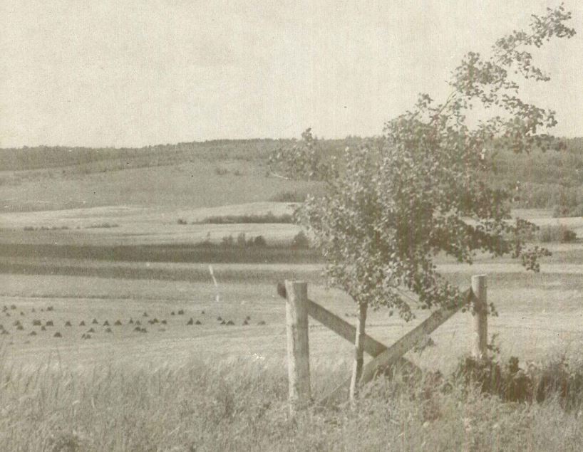 Image of Blueberry Mountain Settlement Area