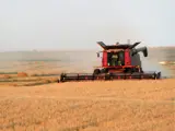 Image of Farming Equipment in Field