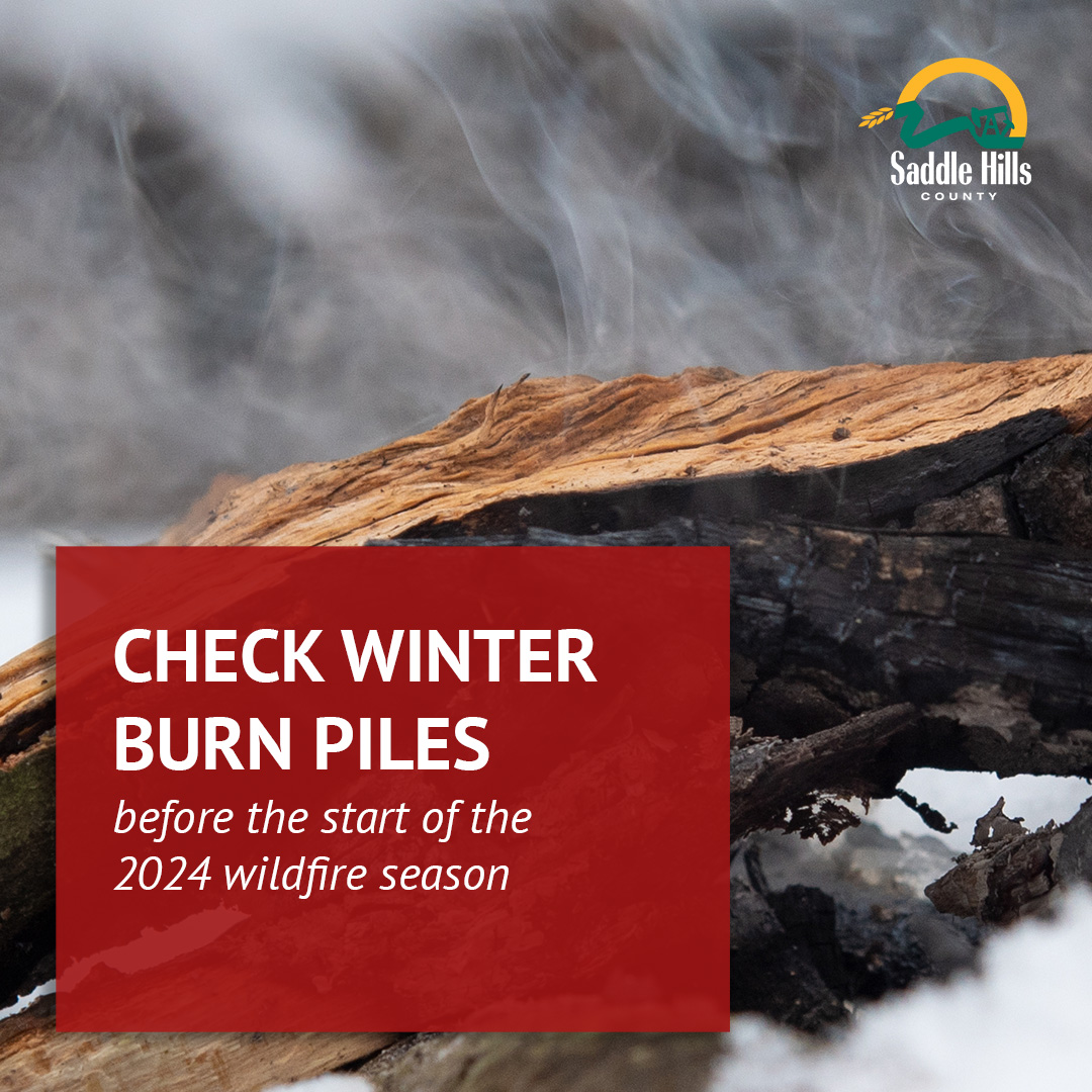 Image of Check your Winter Burn Piles
