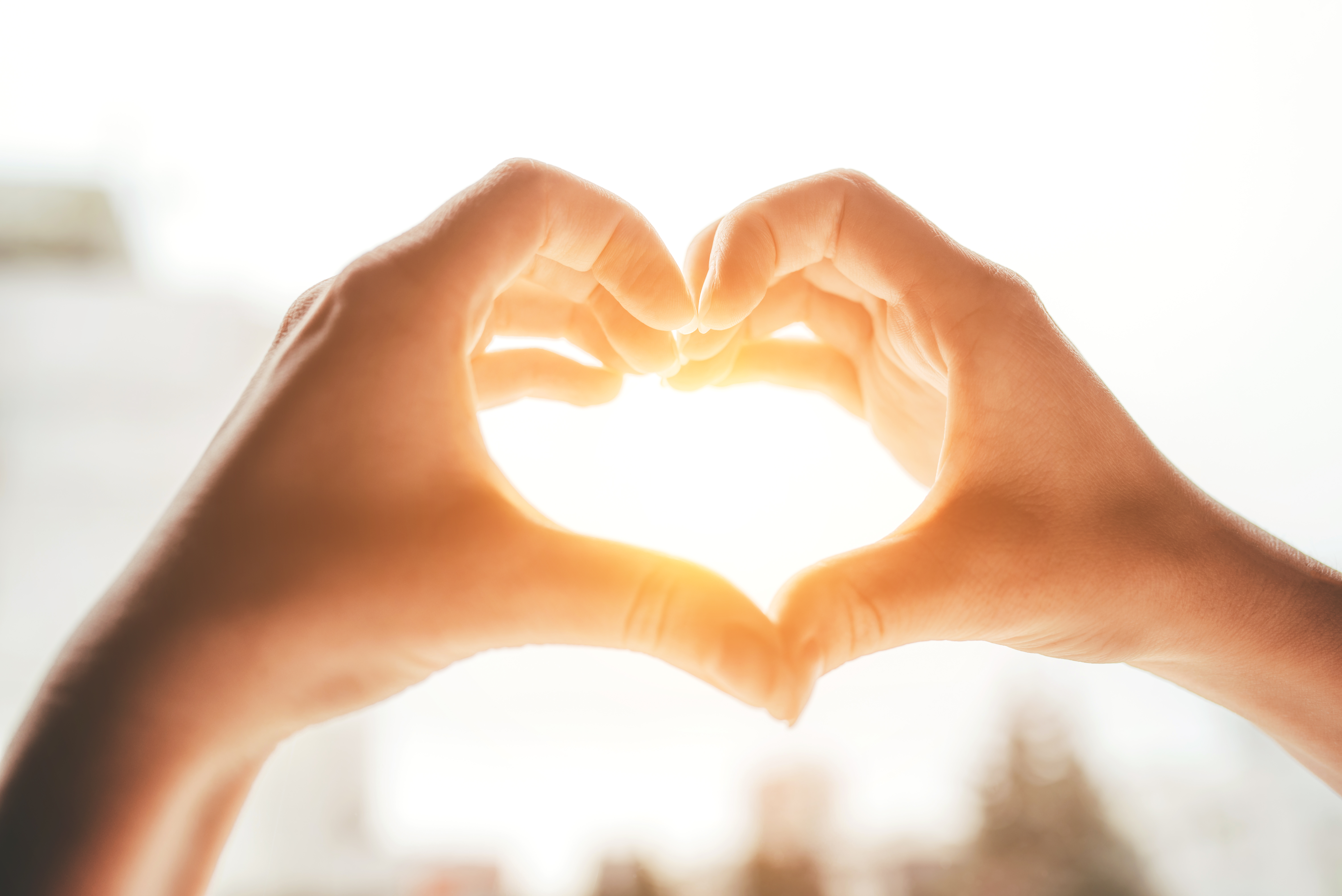 Image of Hands Making Heart Shape