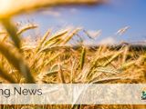 Image of Agriculture News