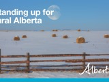 Government of Alberta Image