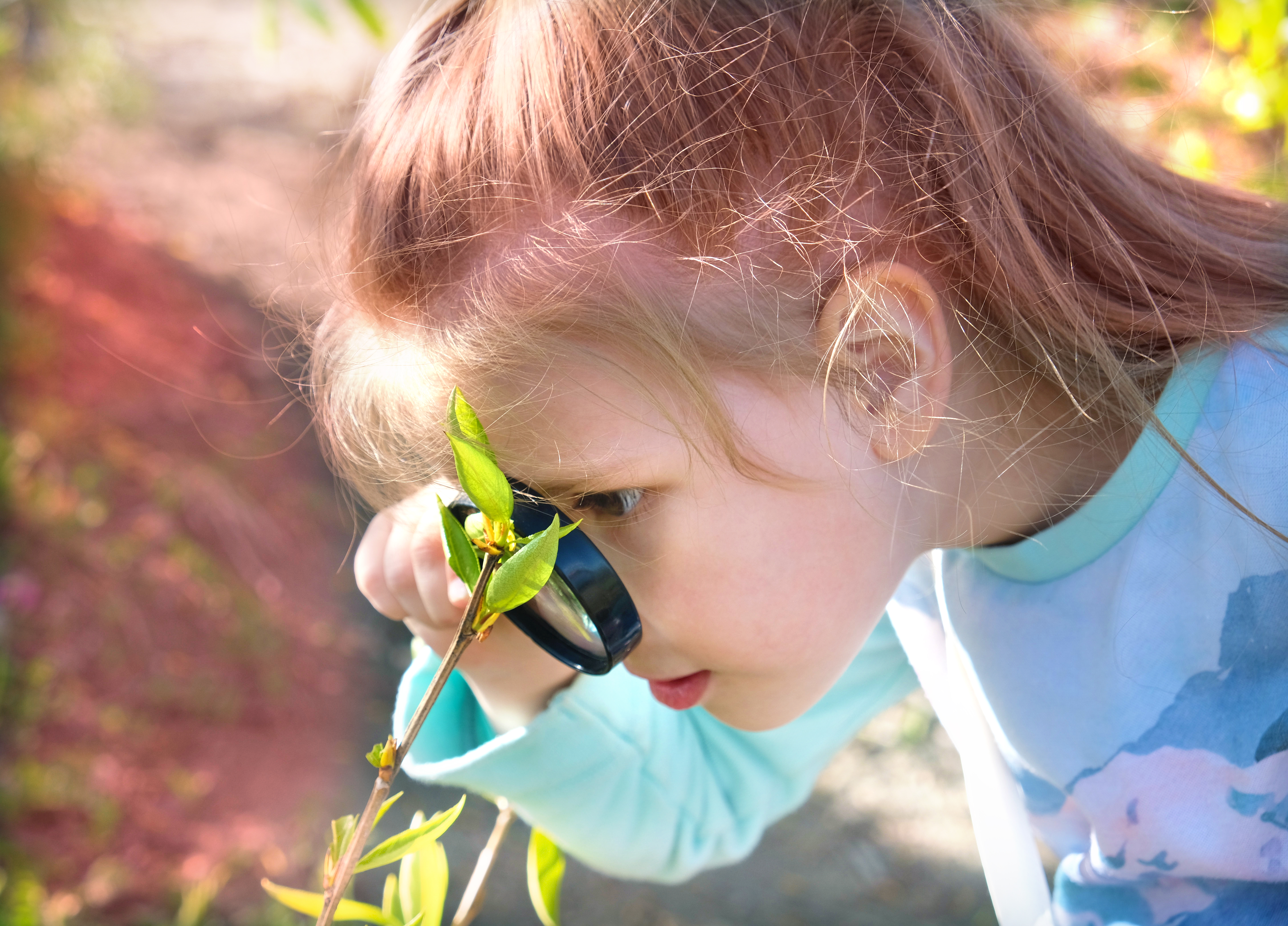 Image of Girl with Magnifying Glass and Plants