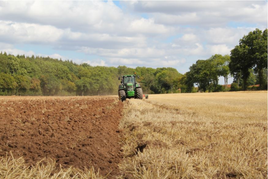 Image of farm field